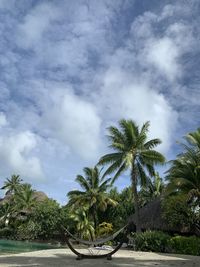 Palm trees on beach against sky