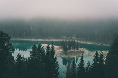 Scenic view of lake in forest during winter