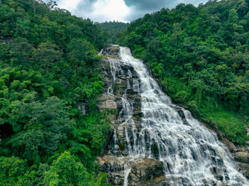 Scenic view of waterfall in forest