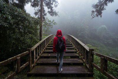 Rear view of woman on footbridge