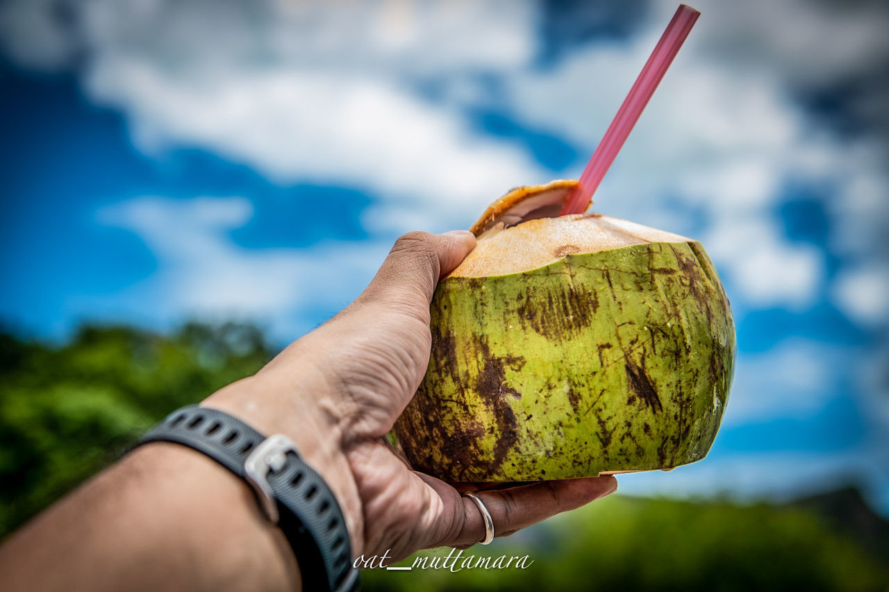 CLOSE-UP OF HAND HOLDING APPLE