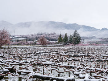 Scenic view of snowcapped mountains against sky during winter