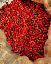 Close-up of red chili peppers