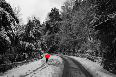 Rear view of person walking on road in winter