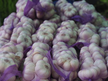 Garlic bulbs in purple net at market for sale