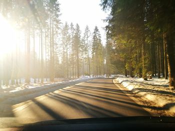 Road amidst trees against sky during winter