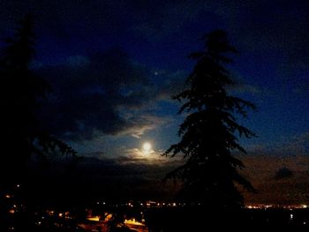 Silhouette trees against sky at night