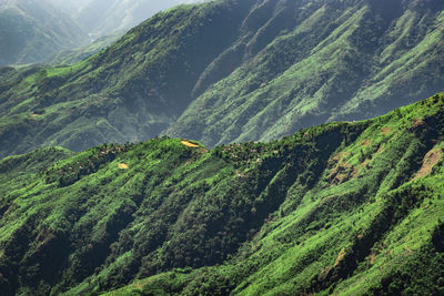 Misty mountain range covered with white mist