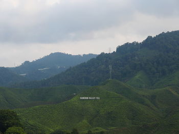 Scenic view of landscape against sky