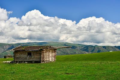 Qiongkushtai in xinjiang is a small kazakh village with a vast grassland, horses, and sheep.