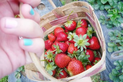 Close-up of hand holding food