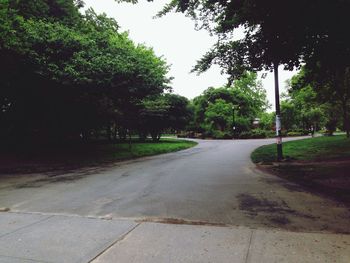 Empty road along trees