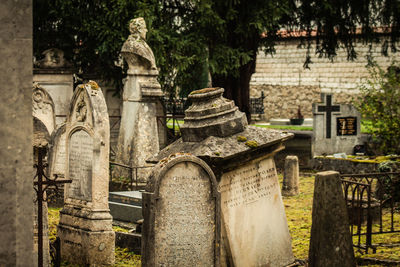 View of cemetery against trees