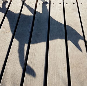High angle view of shadow on wooden floor