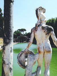 Close-up of statue against tree trunk in park