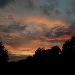 Silhouette of trees at sunset