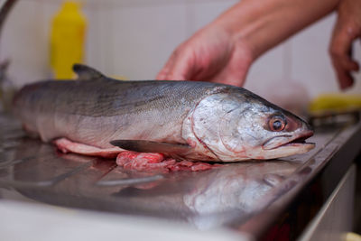 Knife cleaning fish