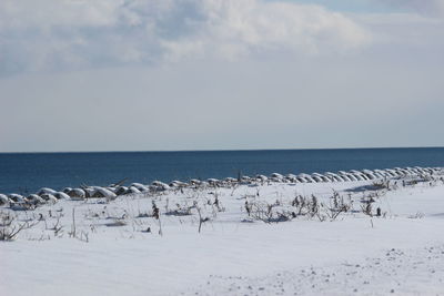 Scenic view of sea against sky during winter