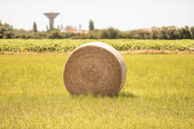 Hay bales on field against sky