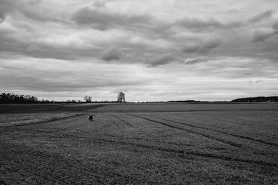 horizon