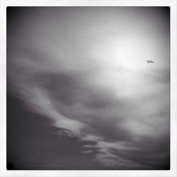 Low angle view of bird flying in sky