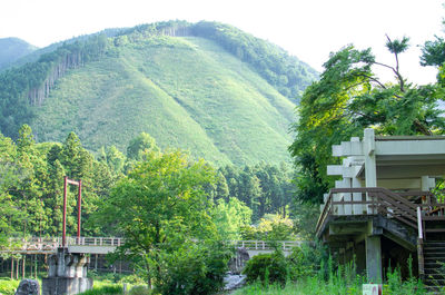 Scenic view of trees and mountains against sky