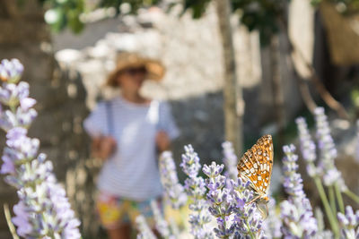 Close-up of butterfly with women in background