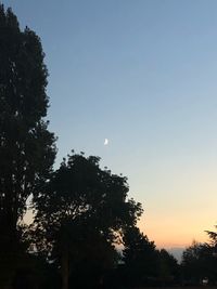 Low angle view of silhouette trees against sky during sunset