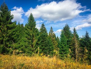 Nature scenery with cloudy sky