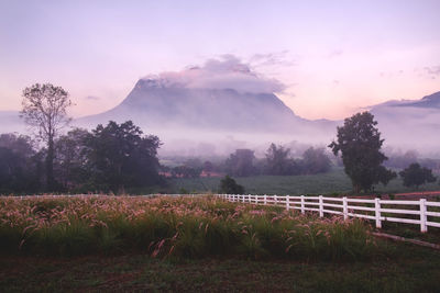 Scenic view of field against sky during sunset