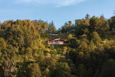 Trees and plants by building against sky during autumn