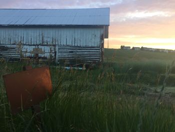 Scenic view of grassy field against sky at sunset