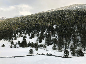 Scenic view of snow covered mountain against sky