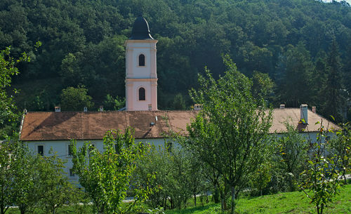 Exterior of building by trees in forest