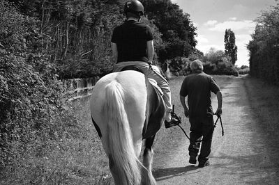 Rear view of man riding horse