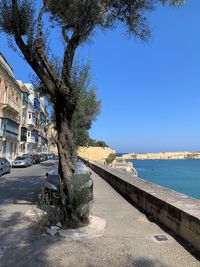 Road by sea against blue sky