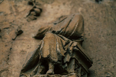 High angle view of insect on sand