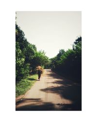 Rear view of a woman walking on road