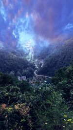 Scenic view of forest against sky