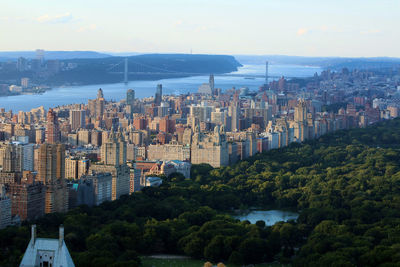 Aerial view of central park and cityscape by river