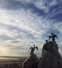 Sculptures of birds on rock by sea against sky