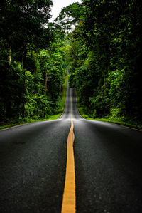 Road amidst trees in forest