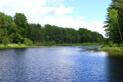 Scenic view of lake in forest against sky