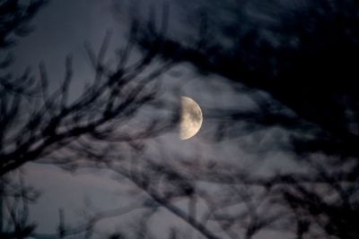 Low angle view of moon in sky at night