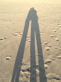 Shadow of person on sand