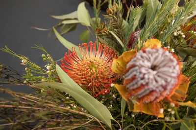 Close-up of flowering plants on land