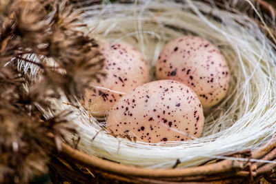 Close-up of eggs in basket