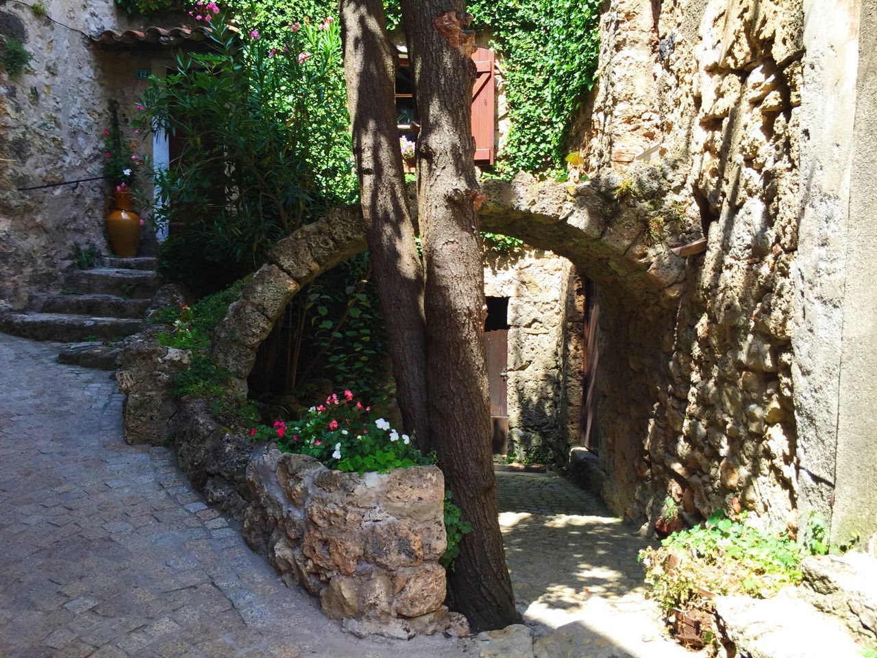 architecture, built structure, building exterior, stone wall, plant, tree, wall - building feature, growth, steps, arch, flower, old, entrance, wall, house, ivy, history, the way forward, day, potted plant