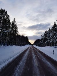 Road amidst trees against sky during winter