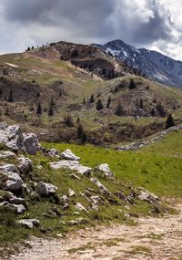 Scenic view of landscape and mountains against sky